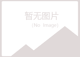 重庆紫山工程有限公司